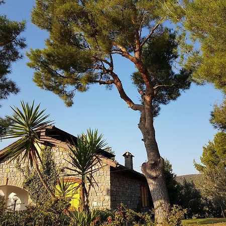Villa Fior Di Lavanda Cisano sul Neva 外观 照片