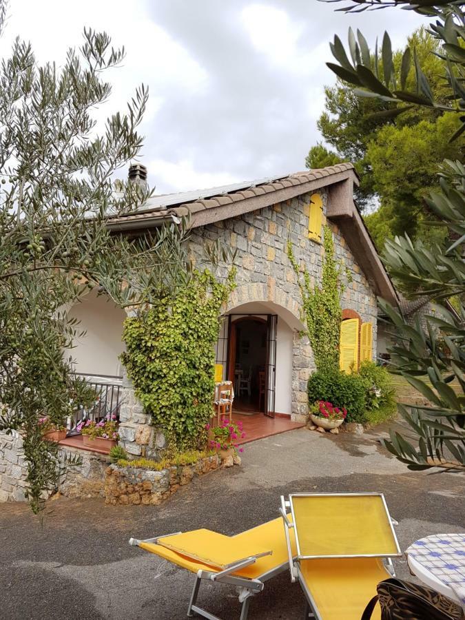 Villa Fior Di Lavanda Cisano sul Neva 外观 照片