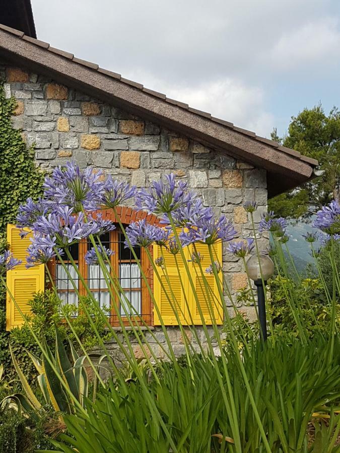 Villa Fior Di Lavanda Cisano sul Neva 外观 照片