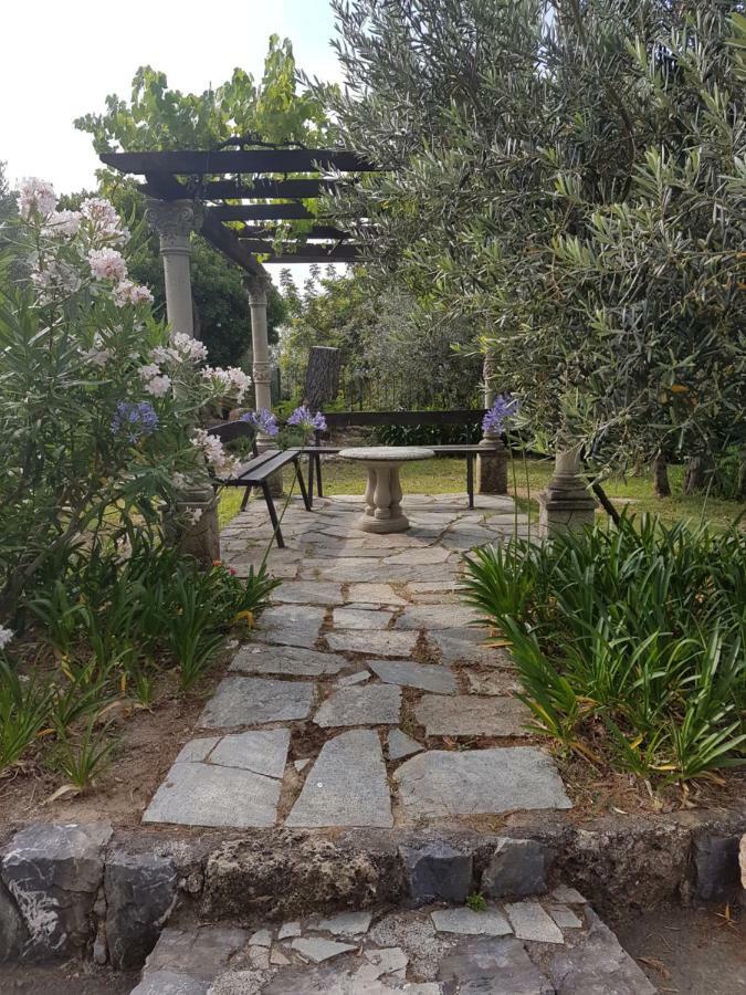 Villa Fior Di Lavanda Cisano sul Neva 外观 照片