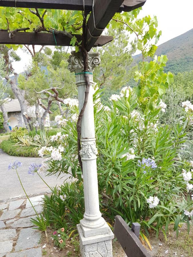 Villa Fior Di Lavanda Cisano sul Neva 外观 照片