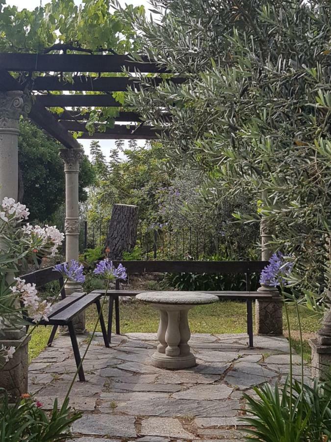 Villa Fior Di Lavanda Cisano sul Neva 外观 照片