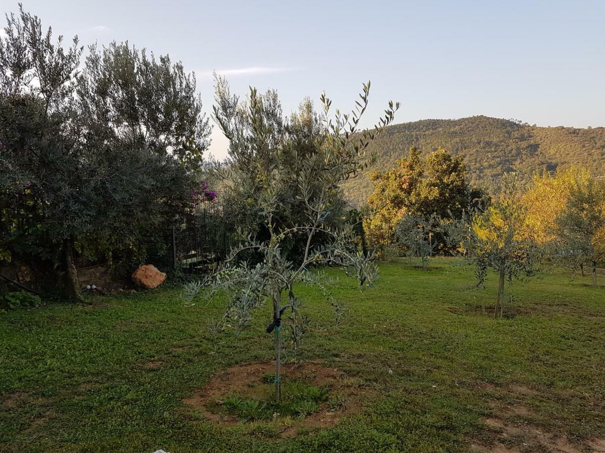 Villa Fior Di Lavanda Cisano sul Neva 外观 照片