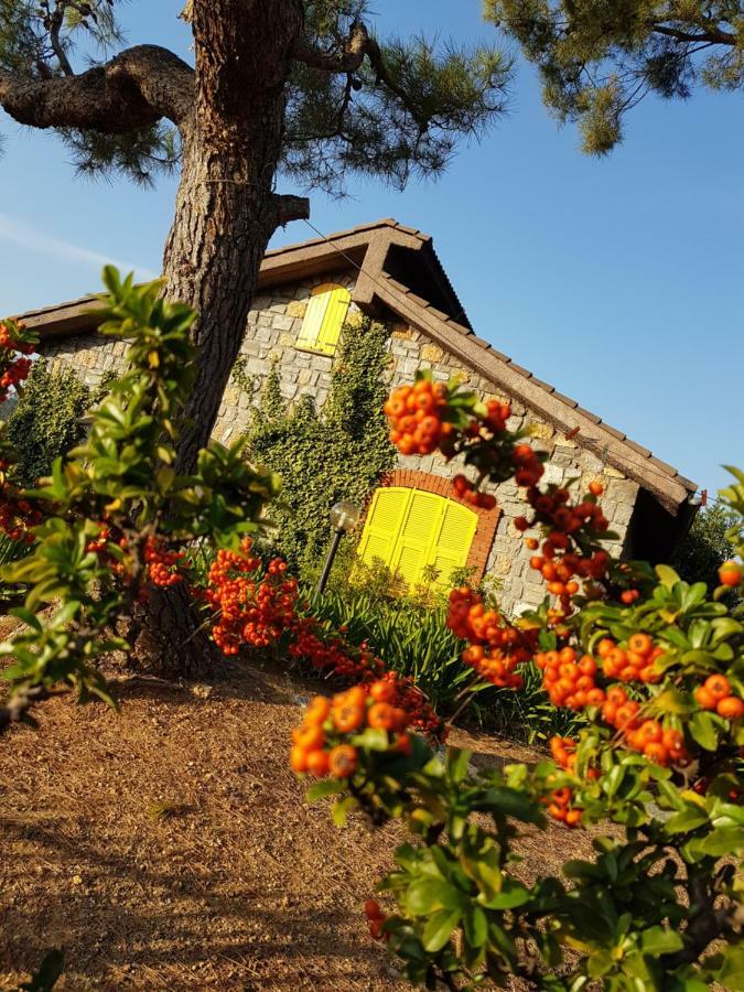 Villa Fior Di Lavanda Cisano sul Neva 外观 照片