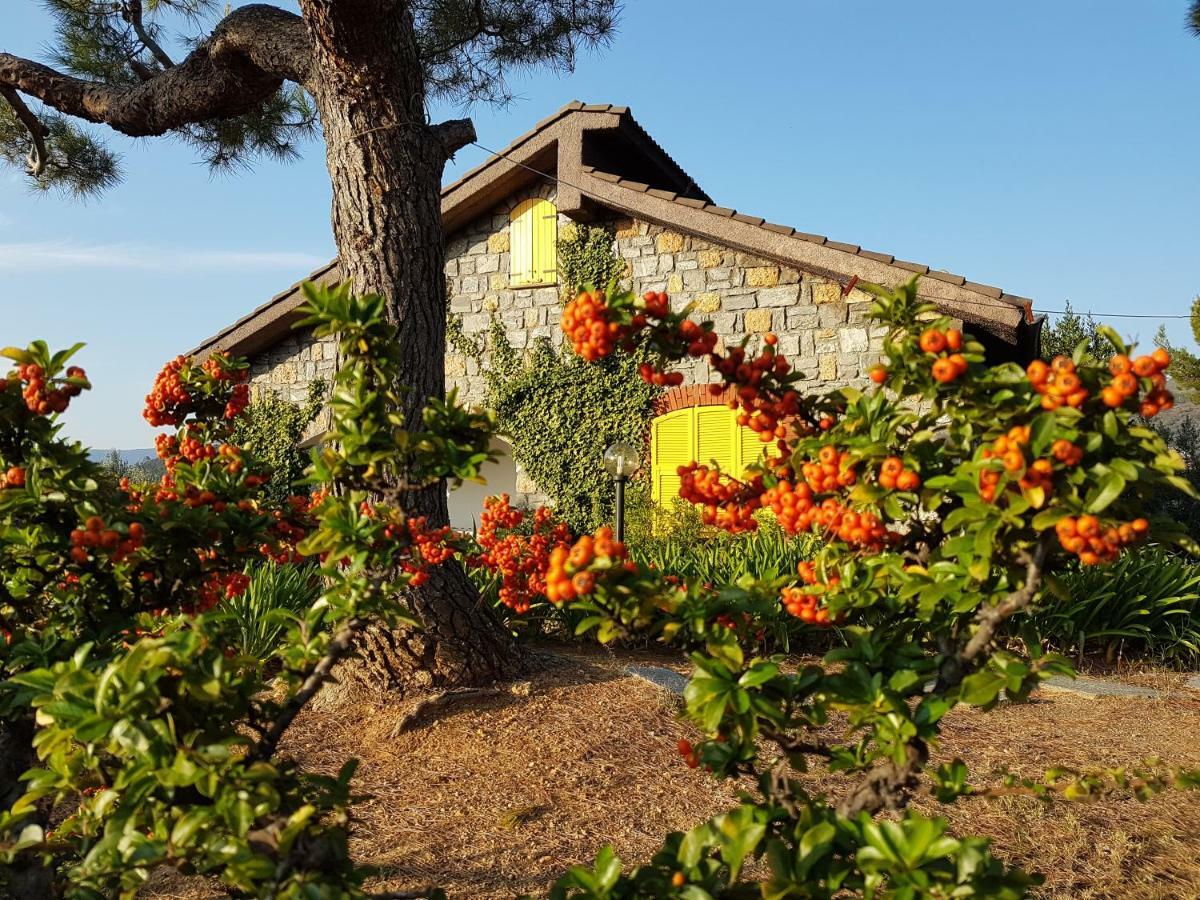 Villa Fior Di Lavanda Cisano sul Neva 外观 照片