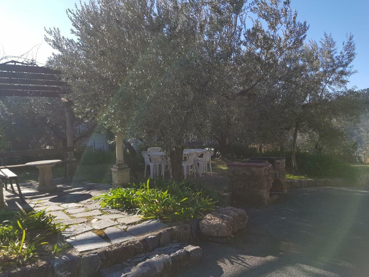 Villa Fior Di Lavanda Cisano sul Neva 外观 照片